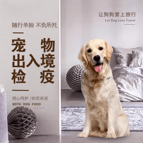 贵港市宠物托运到哥伦比亚猫狗宠物入境规定和