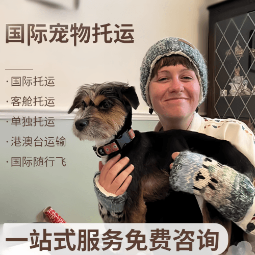 贵港市国际宠物托运到阿根廷宠物入境规定和要