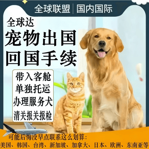 贵港市宠物托运到柬埔寨宠物入境规定和要求