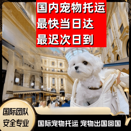 贵港市到澳大利亚（澳洲）宠物入境规定和要求